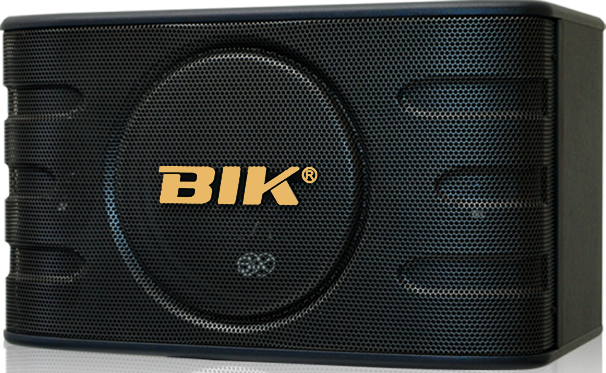 BIK   BS-660NVⅡ专业10寸卡拉OK音箱